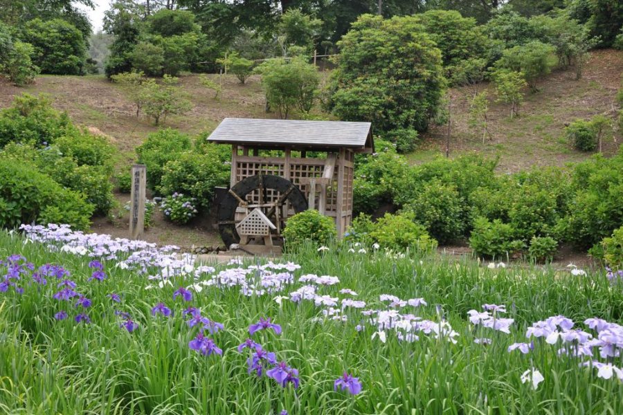 حديقة شوبو يوكوسوكا