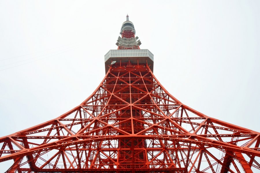 قصة حب مع برج طوكيو