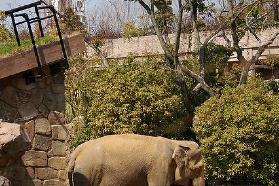 حديقة حيوان تينوجي