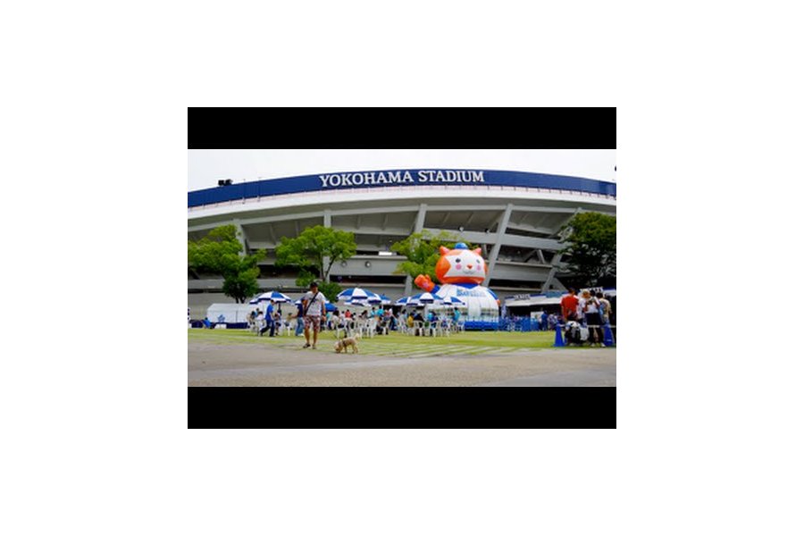 استاد يوكوهاما قبل المباراة