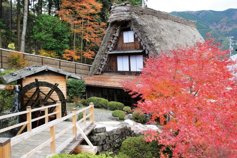  جاسشو القرية الشعبية في الخريف