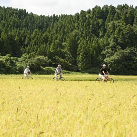 Satoyama Living in Wajima, Noto Satoyama Living in Wajima, Noto