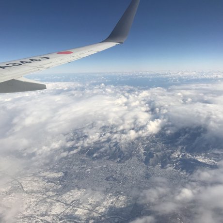 JAL Domestic Flights JAL Domestic Flights