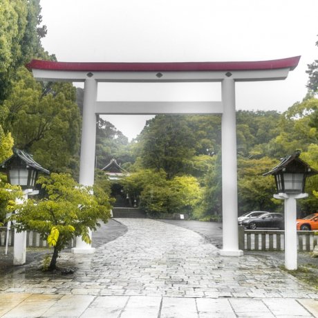 Rainy Days at Kamakuragu Shrine Rainy Days at Kamakuragu Shrine