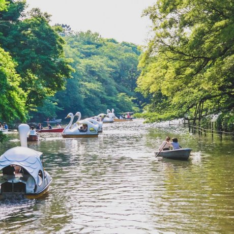 Inokashira Park